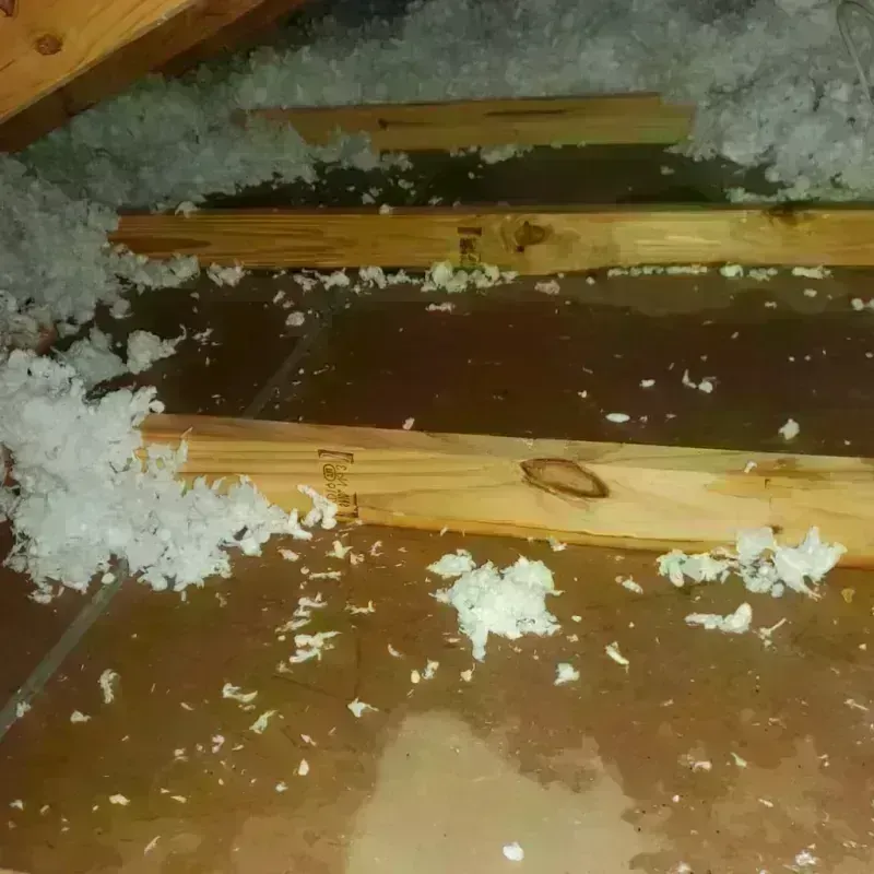 Attic Water Damage in Homewood, AL