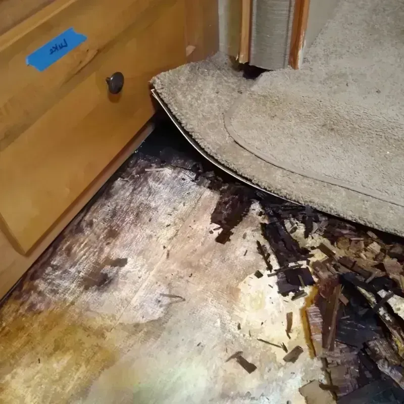 Best Wood Floor Water Damage Service in Homewood, AL